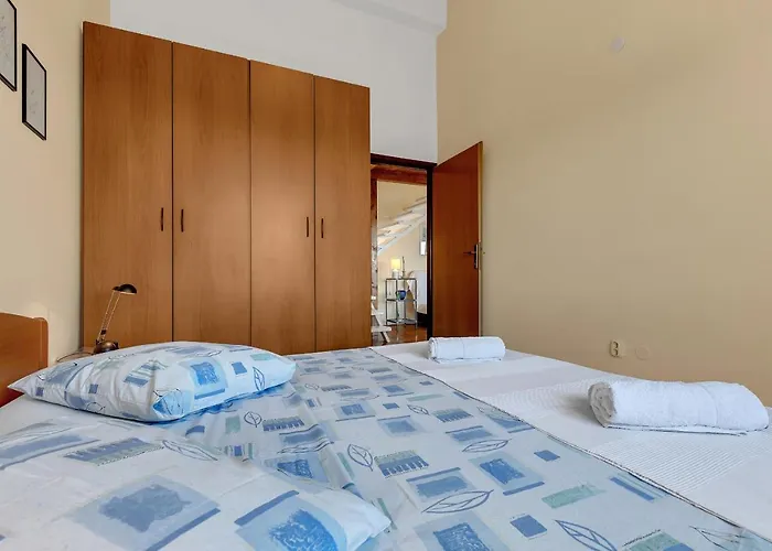 Dev On The In The Center